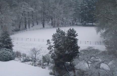 Winters uitzicht